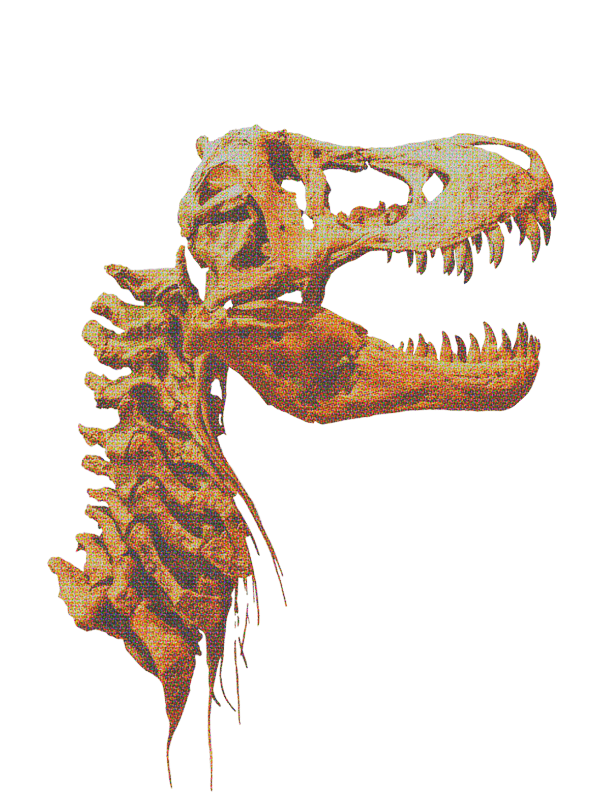 Dino